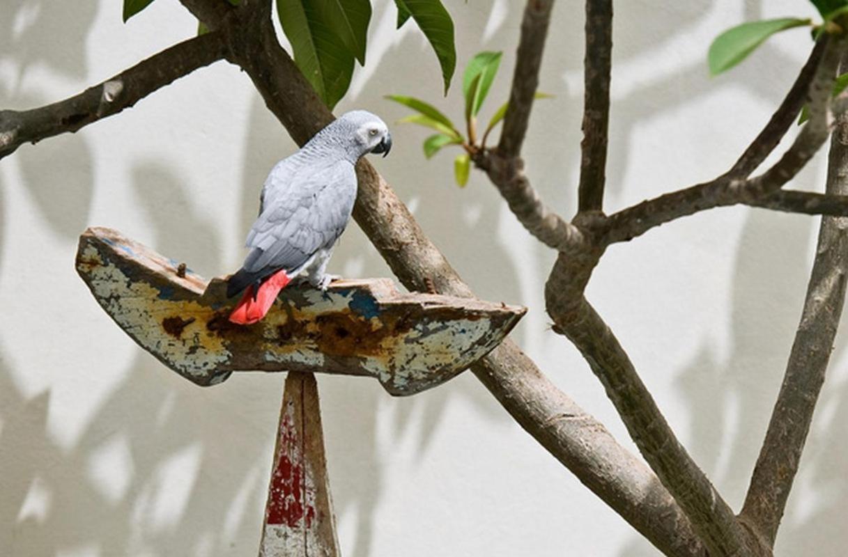 La Maison Abaka Dakar Luaran gambar